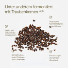 MikroVeda Derma (vormals SKIN FOOD) Kräuterferment 50 ml Glasflasche DE-ÖKO-037